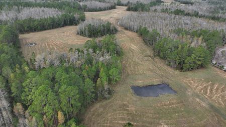 VacantLand space for Sale at South Lake County Ranch and Hunting Tract in Clermont