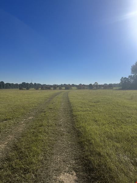 Prime Industrial Property