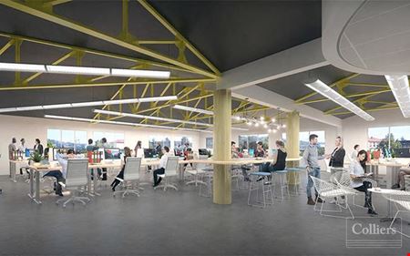 Office space for Rent at FRANCES SHATTUCK in Berkeley