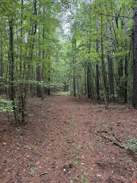 Dub Walker Rd - 314.47 Acres