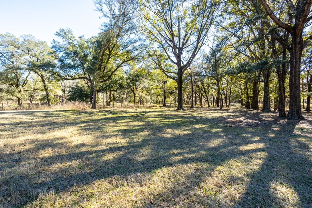 High Springs 60 Acres 00 Northwest 174th Avenue, High Springs, FL 32643