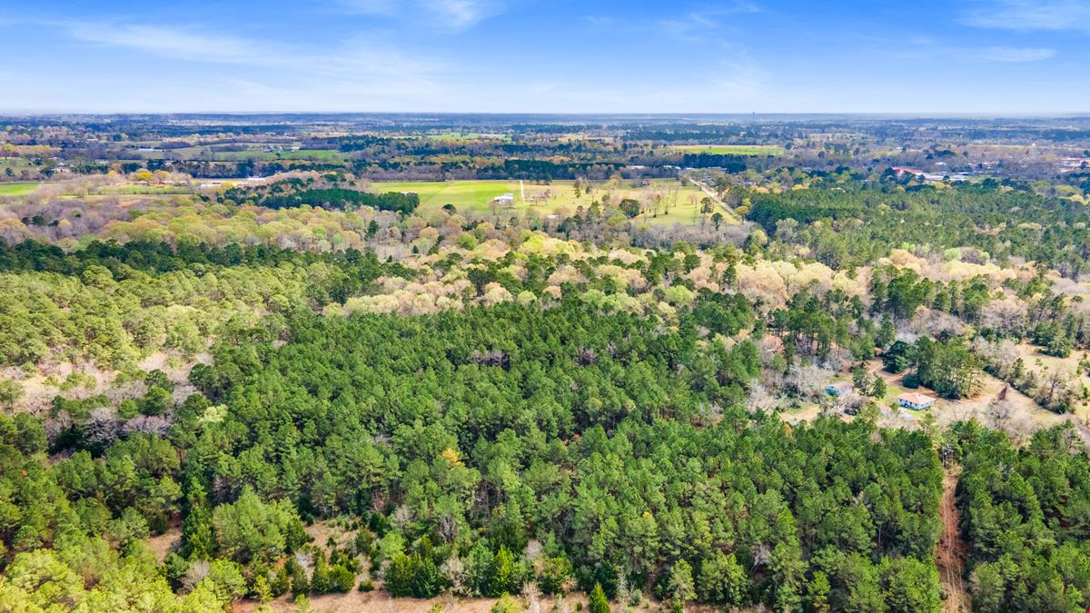 ±80 Acres For Sale | Prime Land Opportunity in New Waverly, TX