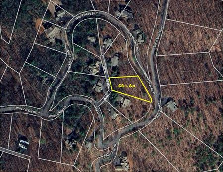 VacantLand space for Sale at Gated Mountain Resort Community in Big Canoe