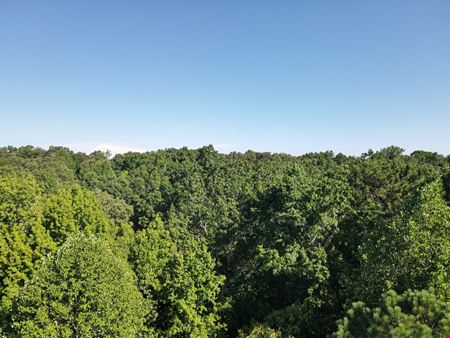 East Chapel Hill - 105 Acres Planned for 163 Future Lots