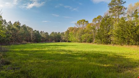 VacantLand space for Sale at Sawyer Lane Hunting and Timber Tract in Forest Home