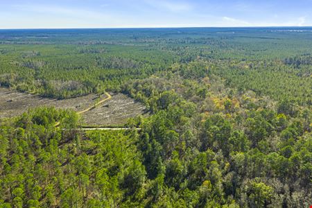 Clay County Timber and Recreation
