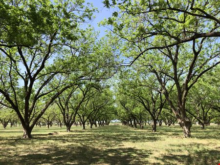 Other space for Sale at 12633 Gholson Rd in Gholson