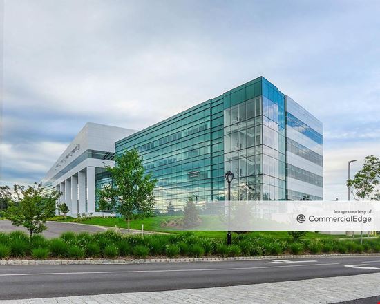 Reezocar office