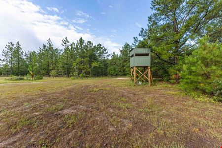 111+/- Acres of Recreational Tract Geared for Hunting on the Aiken and Barnwell County Line