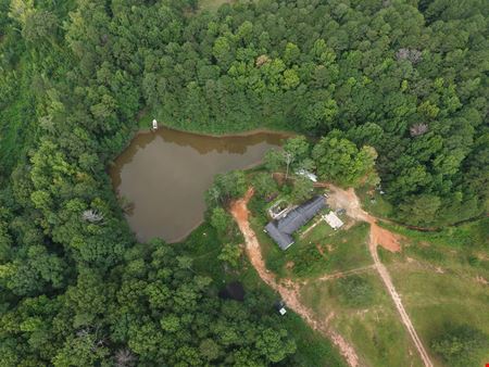 8500 Cedar Grove Road - 18.2 Acres