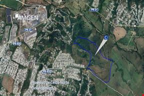 Juncos Agricultural Vacant Land - For Sale