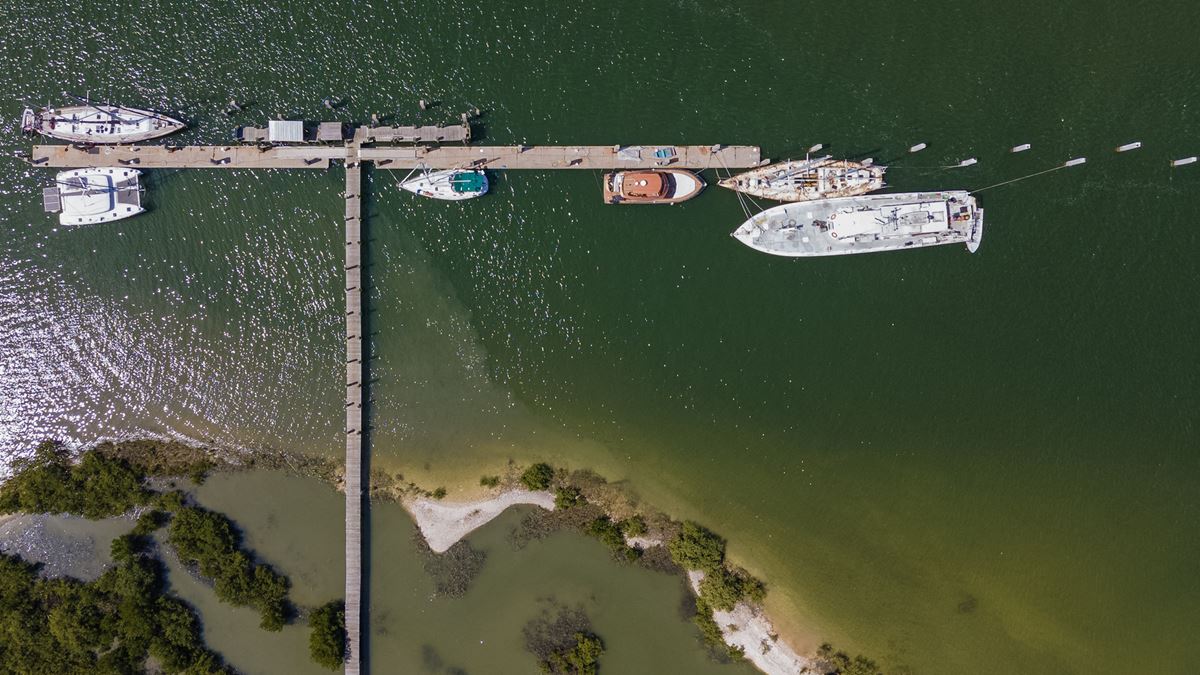 Fish Island Marina