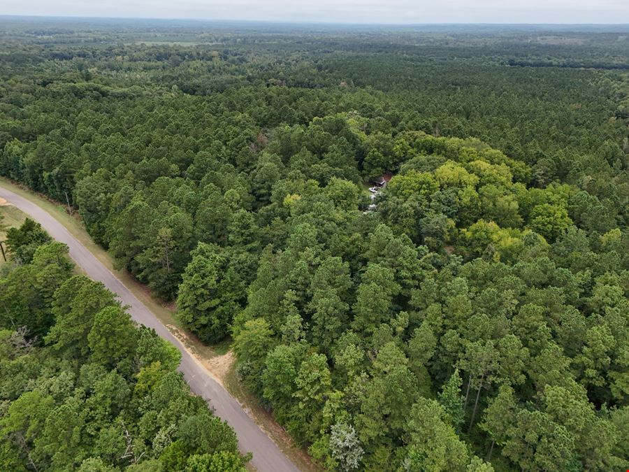 Craig Hill Hunting & Timber Tract