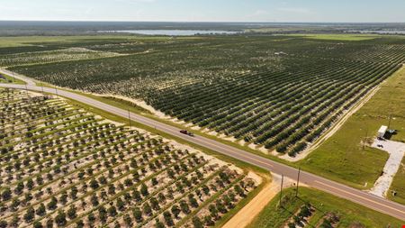 Auction - 584 Acres in Polk County