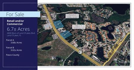 Commercial space at Two Parcels for Sale in Land O'Lakes, FL in Land O' Lakes