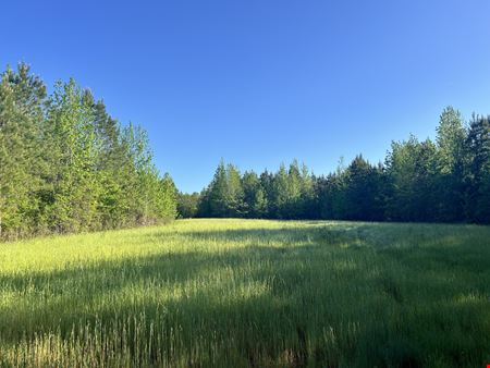 VacantLand space for Sale at Mt. Willing Reserve in Mt. Willing