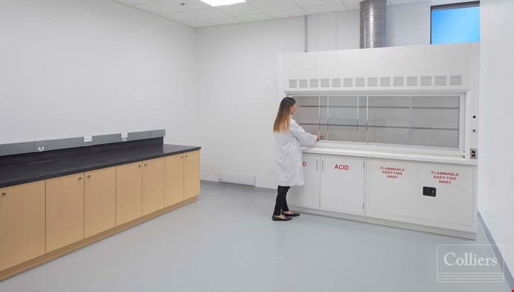 BeMore Labs