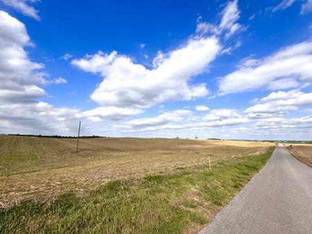 Land space for Sale at Live/Online Auction – Prime Land Buying Opportunity! 83+/- Acres in 10 Parcels in Upton