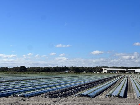 Hyatt Farms at Lake Kissimmee 1,660 +/- Acres