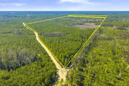 VacantLand space for Sale at Clay County Timber and Recreation in Keystone Heights