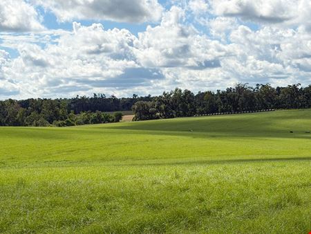 Lake Rachel Ag Land