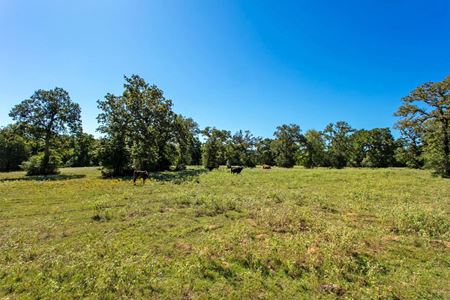 Commercial space at 11041 Jack Rabbit Lane in Bryan