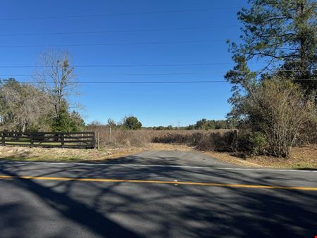 52.6 Acres in Archer