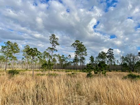 VacantLand space for Sale at Old Florida Ranch Recreational Land in Pasco County