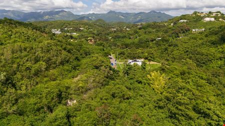 18.36 Acre Agricultural Land @ Ponce, Canas Ward - For Sale