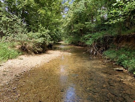 Puppy Creek Rd