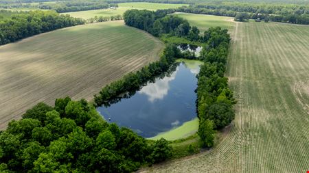 Sunbury Farm