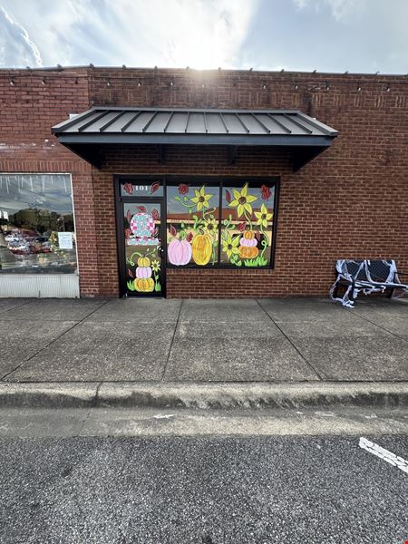 Oneonta Retail Investment