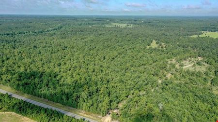 111+/- Acres of Recreational Tract Geared for Hunting on the Aiken and Barnwell County Line