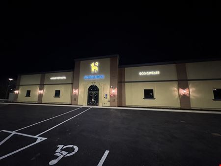 K9 Resorts