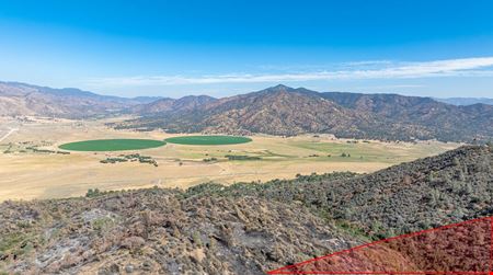 ±35 Acres of Commercial Pasture - Can Be Divided
