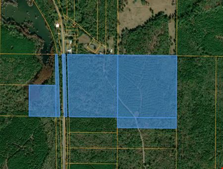 Mira Levee and Hwy 71 Land (98.37 acres)