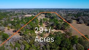 29 Acres in Horse Country