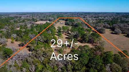 VacantLand space for Sale at 29 Acres in Horse Country in Reddick