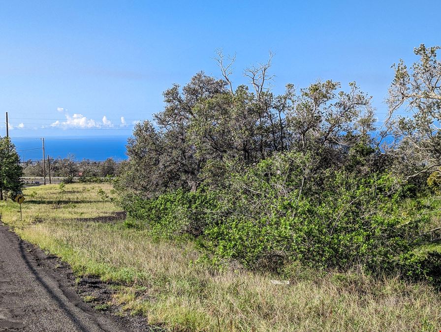 Lehua Court
