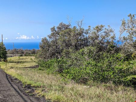Lehua Court