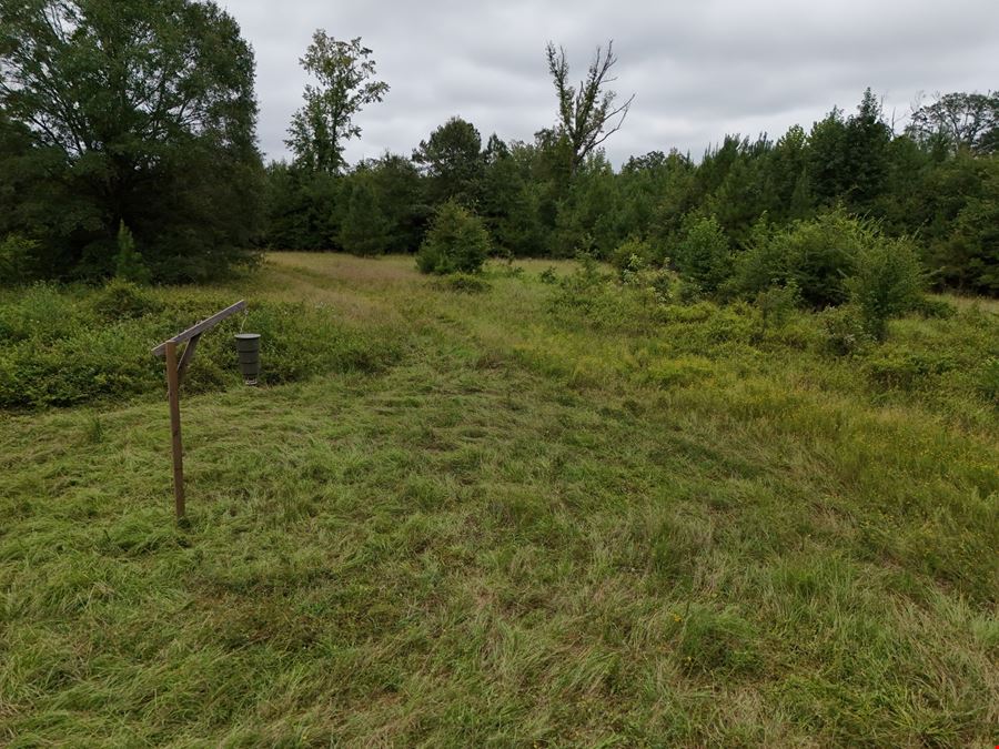 Craig Hill Hunting & Timber Tract