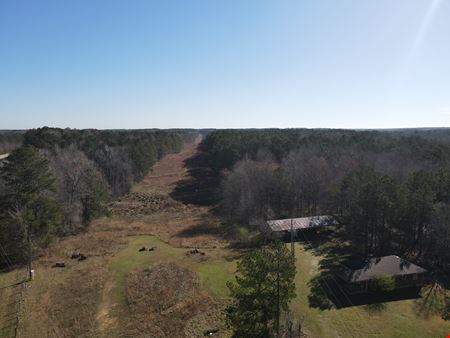 Posey Road - 70.4 Acres