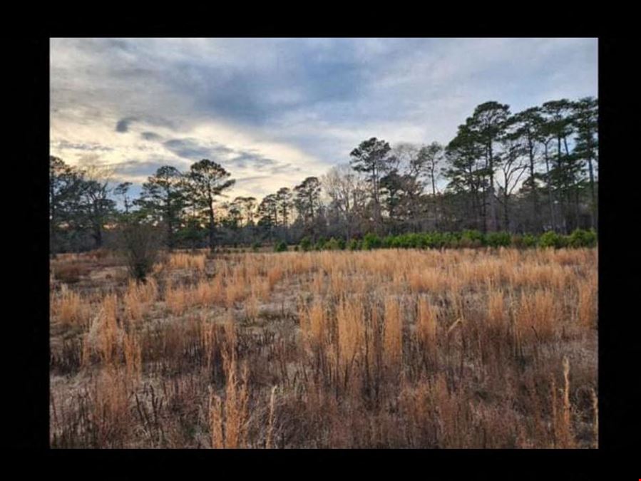 Seven(7) Different 10 acre lots in Wallace NC