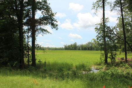 VacantLand space for Sale at 8.5 Acres - Airport Road Near Fox Hall - 2 Access Points available in Flowood