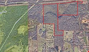 Hunting and Timber - Hwy 304 109.7 +/- AC