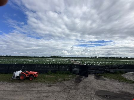 Turner - Former Operating Outdoor Cultivation