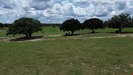 Rolling Oaks Ridge