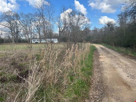 Unassigned space for Sale at 0 US HWY 331 in LUVERNE