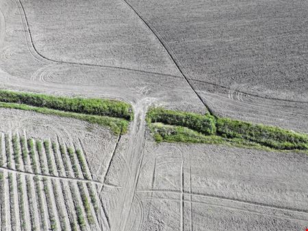 I-10 / Toby Mouton Rd Development Tract – 42.7± Acres, Duson, LA