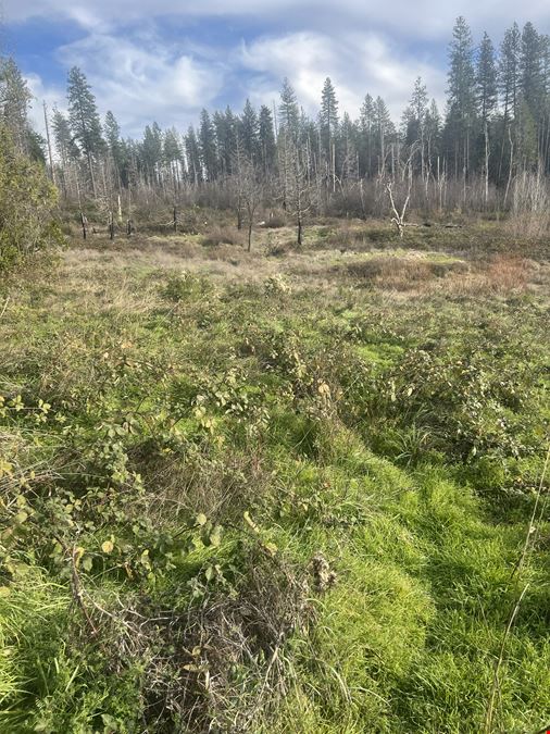 6.67 Acre Grass Valley Lot
